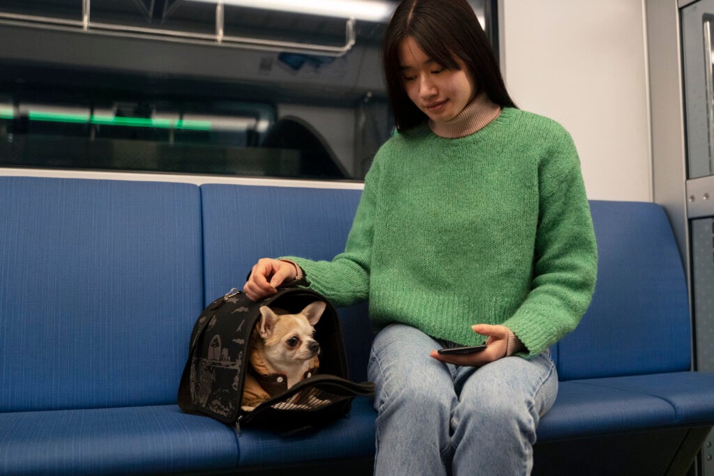 Saiba mais sobre como seu pet deve se portar no transporte público. | Foto: Freepik.